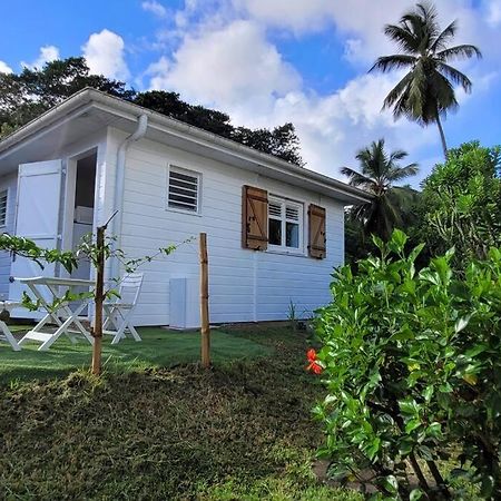 Ti-Hibiscus Bungalow T1 Clim-Wifi 30M2 2 Pers Grande Savane Екстериор снимка