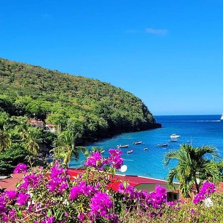 Ti-Hibiscus Bungalow T1 Clim-Wifi 30M2 2 Pers Grande Savane Екстериор снимка